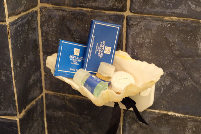 Imagen de los interiores del Hotel Voreades. Foto 13