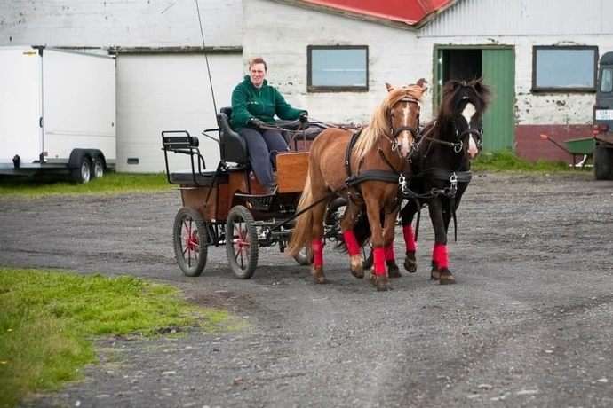 Imagen de los exteriores del Hotel Vos. Foto 2