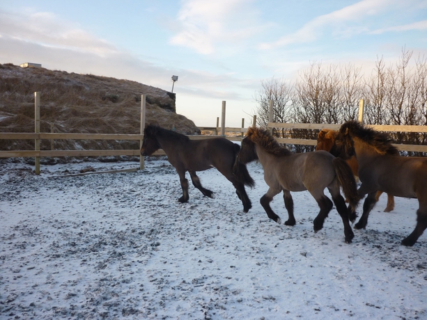 Imagen de los exteriores del Hotel Vos. Foto 3