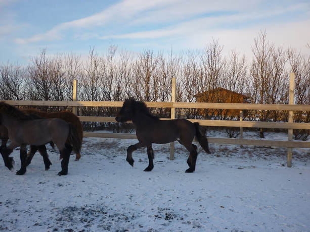 Imagen de los exteriores del Hotel Vos. Foto 8