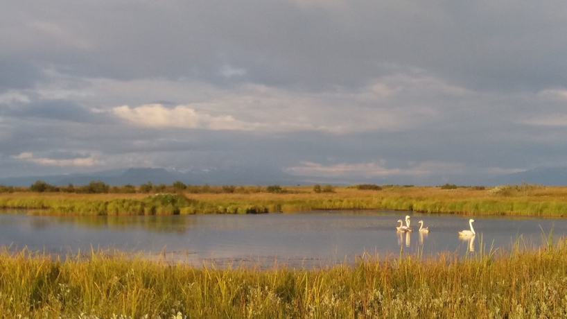 Imagen de los exteriores del Hotel Vos. Foto 12