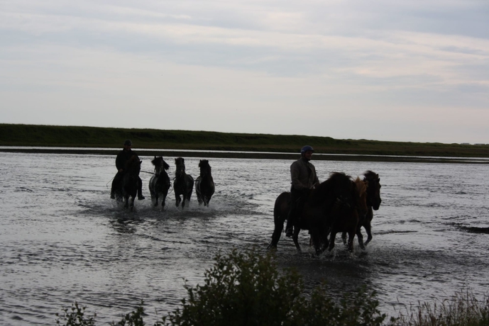 Imagen de los exteriores del Hotel Vos. Foto 14