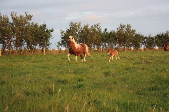 Imagen de los exteriores del Hotel Vos. Foto 19