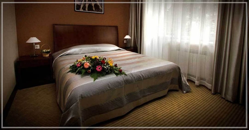 Imagen de la habitación del Hotel Voyage, Almaty. Foto 10