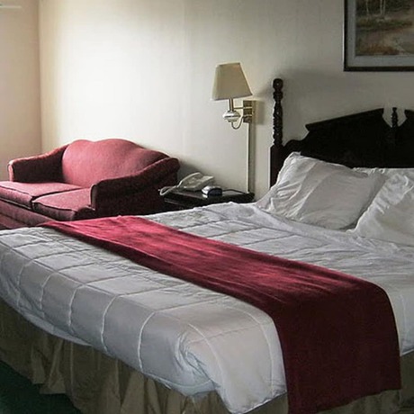 Imagen de la habitación del Hotel Voyageur Inn And Conference Center. Foto 14