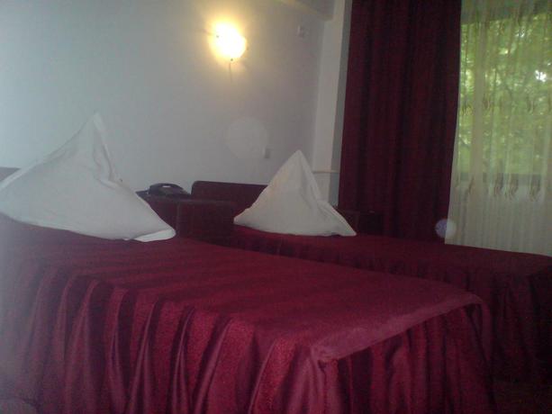 Imagen de la habitación del Hotel Vrancea **. Foto 5