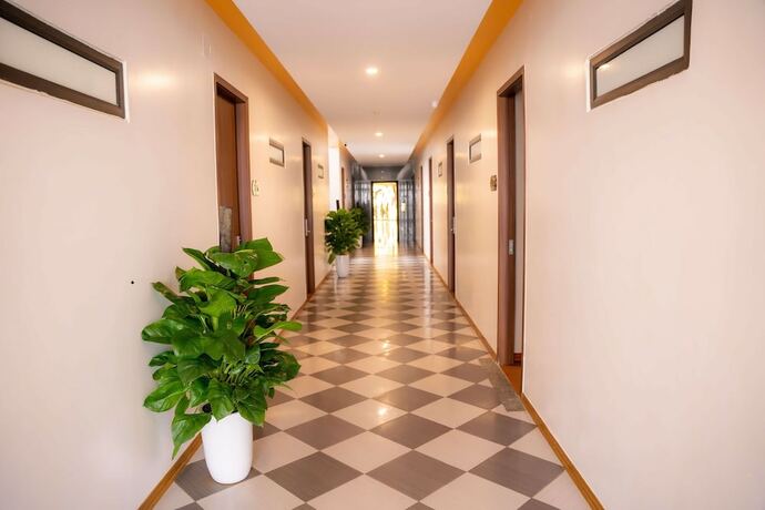 Imagen general del Hotel Vsana Vu Son. Foto 10