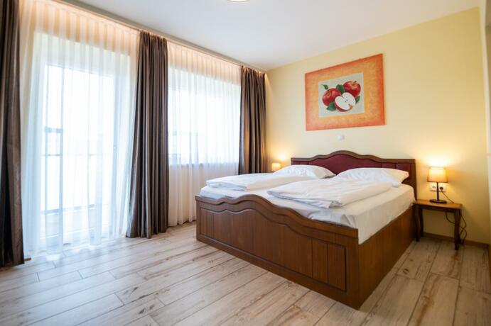Imagen general del Hotel Vulkan Residenz. Foto 13