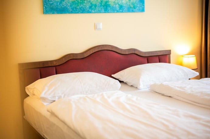 Imagen general del Hotel Vulkan Residenz. Foto 49