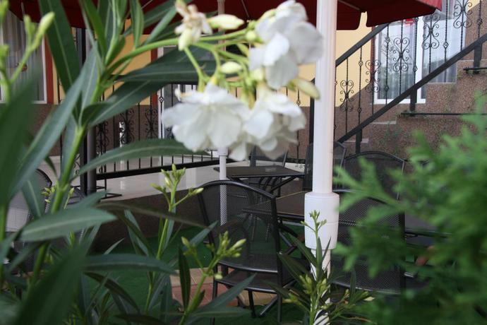 Imagen general del Hotel Vulturul. Foto 3