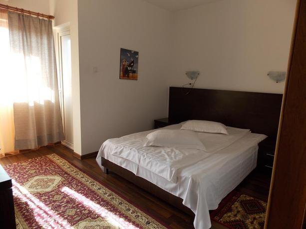 Imagen general del Hotel Vulturul. Foto 8