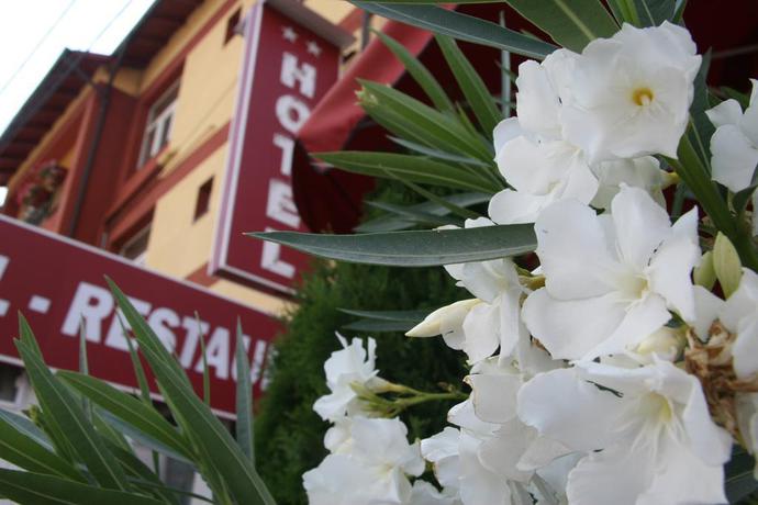 Imagen general del Hotel Vulturul. Foto 14