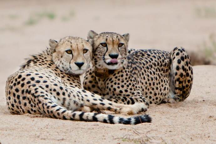 Imagen general del Hotel Vuyani River Lodge. Foto 2