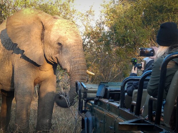 Imagen general del Hotel Vuyani River Lodge. Foto 16