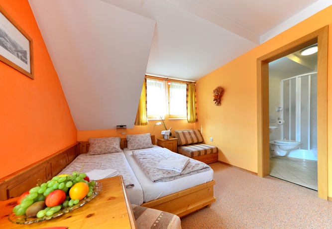 Imagen de la habitación del Hotel V&yacute;slun&iacute;. Foto 15