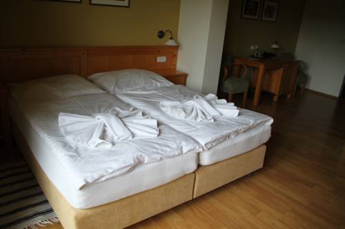 Imagen de la habitación del Hotel Vyhl&iacute;dka, Luhačovice . Foto 8