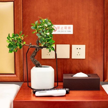 Imagen de la habitación del Hotel Vyluk J Hotel Beijing Qianmen. Foto 14