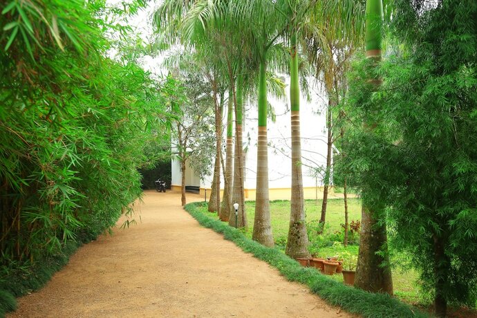 Imagen general del Hotel Vythiri Greens Resort. Foto 5