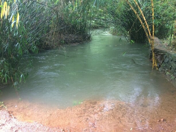 Imagen general del Hotel Vythiri Greens Resort. Foto 6