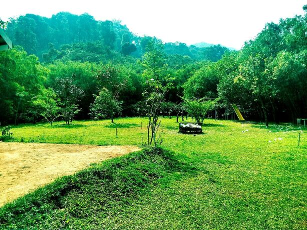 Imagen general del Hotel Vythiri Greens Resort. Foto 7