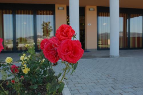 Imagen de la habitación del Hotel W - Venturina Terme. Foto 18