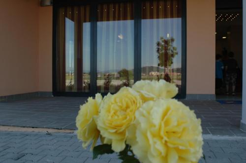 Imagen general del Hotel W - Venturina Terme. Foto 8