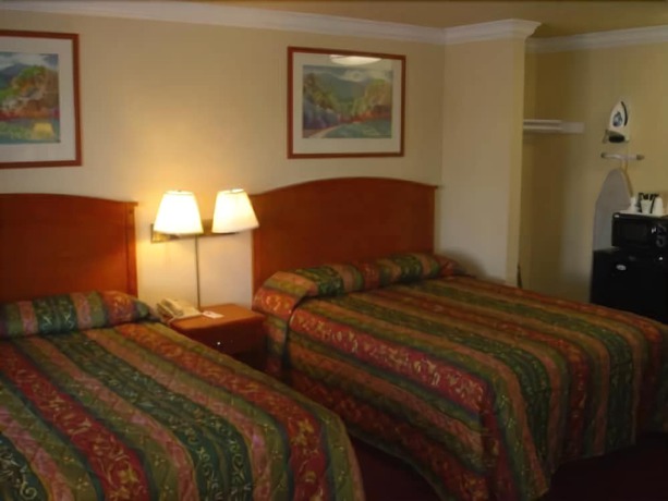 Imagen de la habitación del Hotel WAFER 450. Foto 13