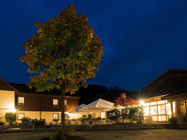 Imagen general del Hotel WAGNERS im Frankenwald, Eisenhammer. Foto 3
