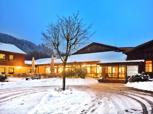 Imagen general del Hotel WAGNERS im Frankenwald, Eisenhammer. Foto 1
