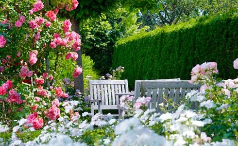 Imagen general del Hotel WEISSES KREUZ, Feldkirch. Foto 6