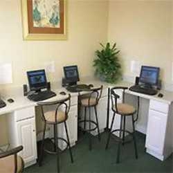 Imagen general del Hotel WINDSOR PALMS. Foto 2