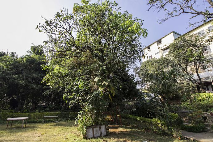 Imagen de los exteriores del Hotel WOWSTAYZ Misty Meadows. Foto 19
