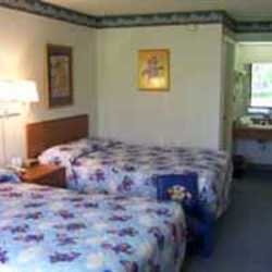 Imagen general del Hotel WYNFIELD INN ORLANDO CONVENTION CENTER. Foto 4