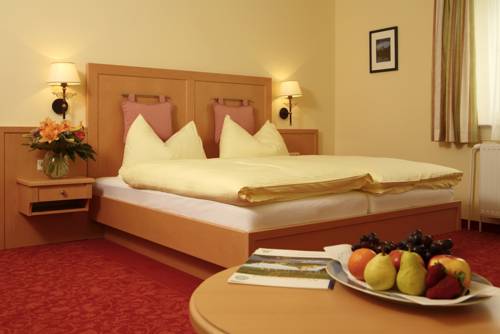 Imagen general del Hotel Wachau. Foto 1