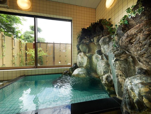 Imagen de la piscina del Hotel Wafu Pension Furusato. Foto 19