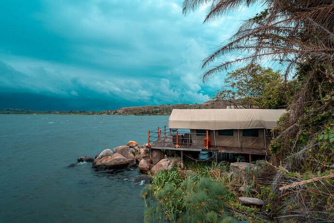 Imagen de la habitación del Hotel Wag Hill Lodge. Foto 12