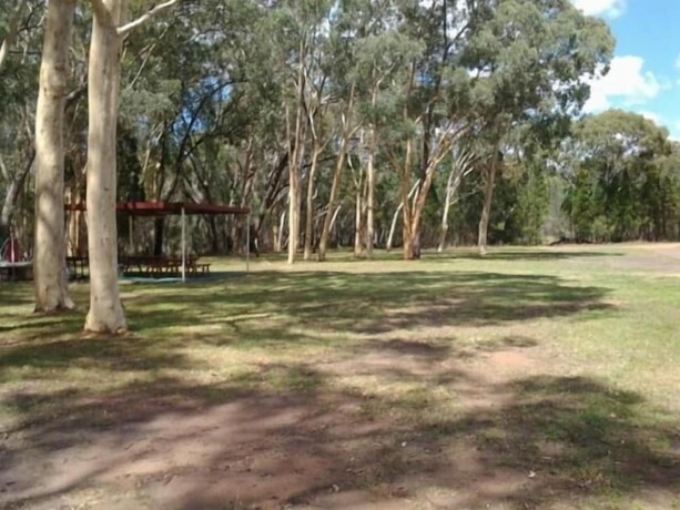 Imagen general del Hotel Wagon Wheel Motel. Foto 3