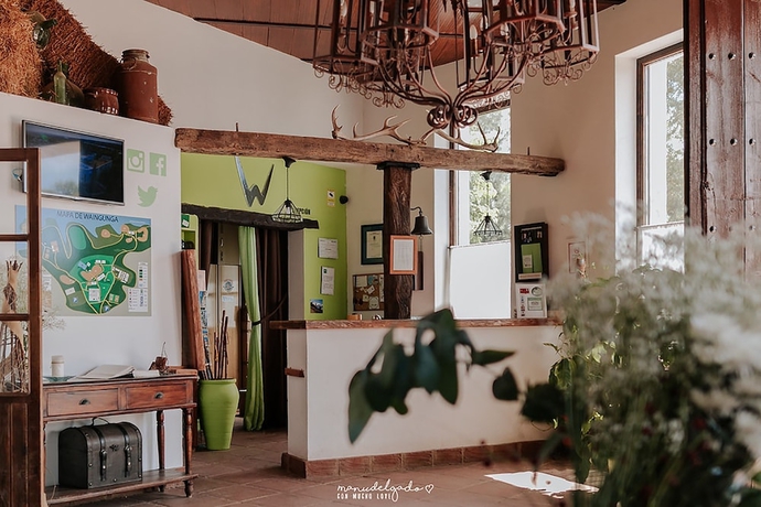 Imagen de los interiores del Hotel Waingunga. Foto 16