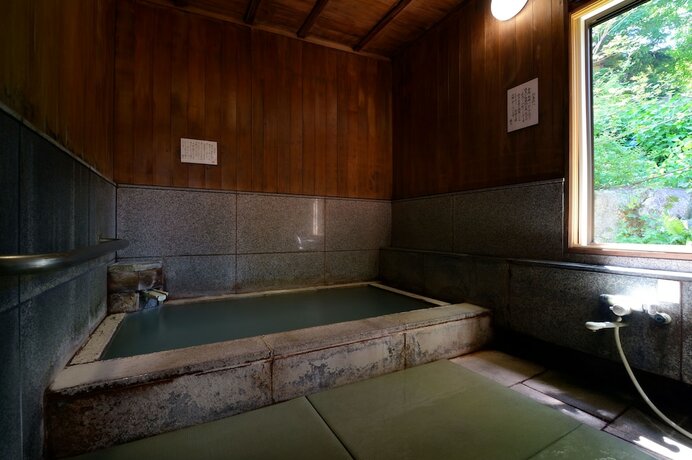 Imagen de la piscina del Hotel Wakamatsuya. Foto 26