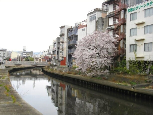 Imagen general del Hotel Wakayama Green Hotel. Foto 2