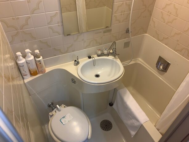 Imagen de la habitación del Hotel Wakayama Green Hotel. Foto 27