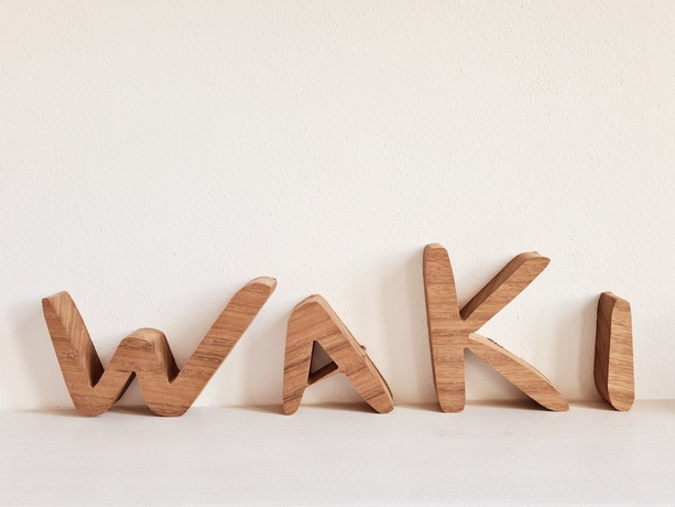 Imagen de la habitación del Hotel Waki Conscious. Foto 4