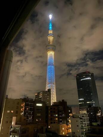 Imagen general del Hotel Wako Tokyo Tree View. Foto 9