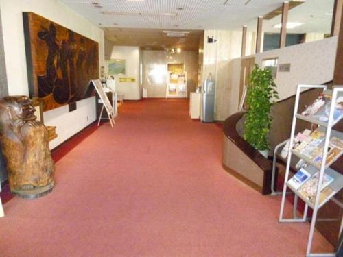 Imagen general del Hotel Wakow. Foto 8