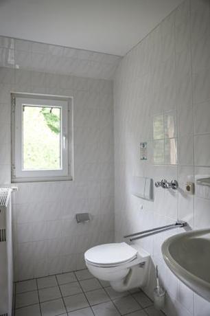 Imagen general del Hotel Waldeslust. Foto 8