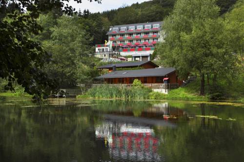 Imagen de la habitación del Hotel Waldhaus Am See, Willingen. Foto 2