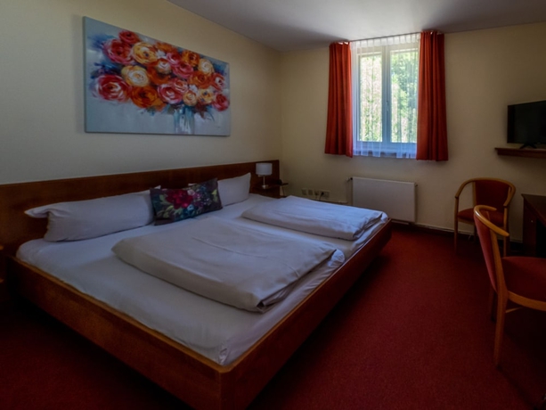 Imagen de la habitación del Hotel Waldhaus Jakob. Foto 10