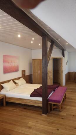 Imagen general del Hotel Waldhaus Knittelsheimer Mühle. Foto 3