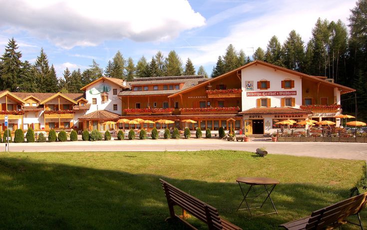 Imagen de los exteriores del Hotel Waldheim, Sarnonico. Foto 13