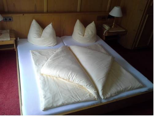 Imagen de la habitación del Hotel Waldhof. Foto 16